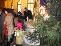 DSCN0265